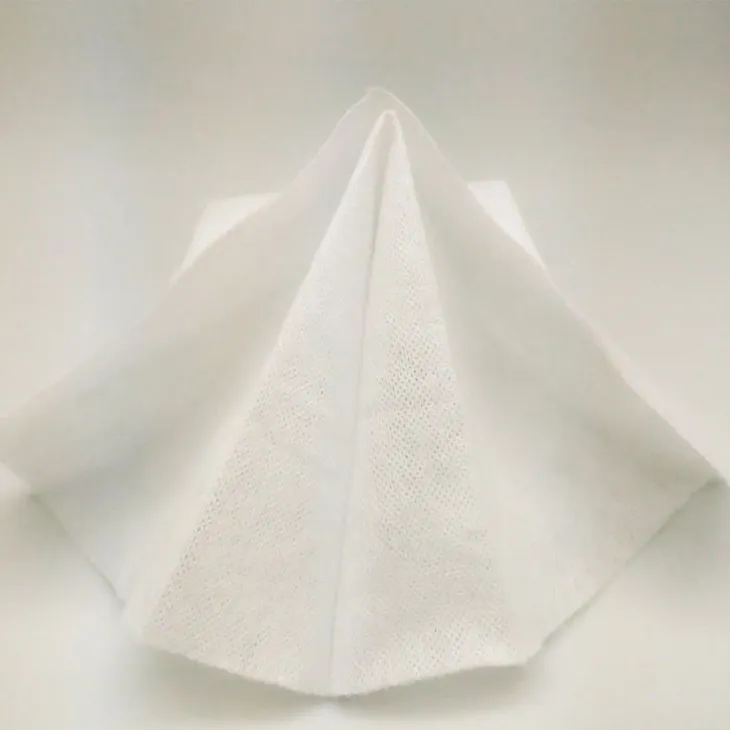 Absorbent Non Woven Fabric 3